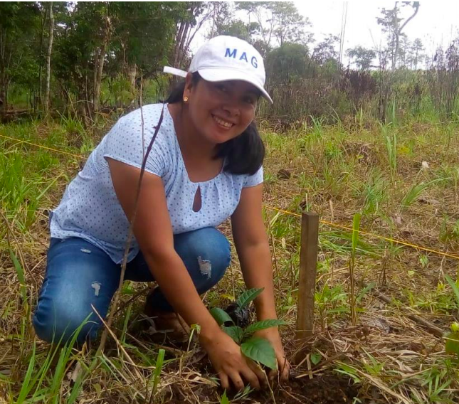 reforesta1